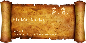 Pintér Netta névjegykártya